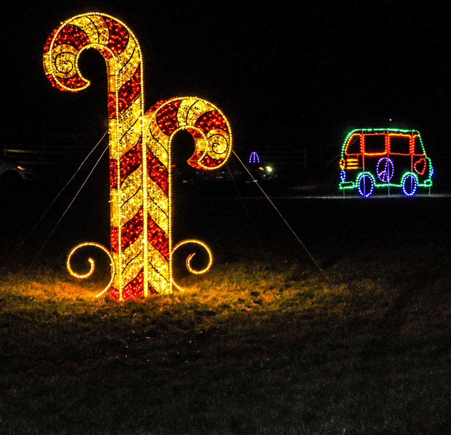 The lights were glorious in 2021 at "Peace, Love & Lights." Don't miss them this year.